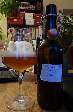 Spöcker Publich Access 28 Morning Glass