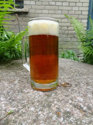 Wendlandbräu Festbier