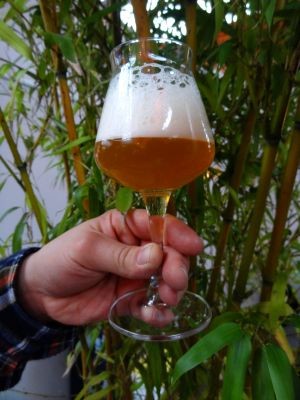 Brewfist Heimdall Saison