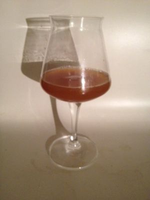 Amateur Amber Ale
