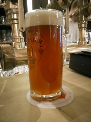 Webster Maibock