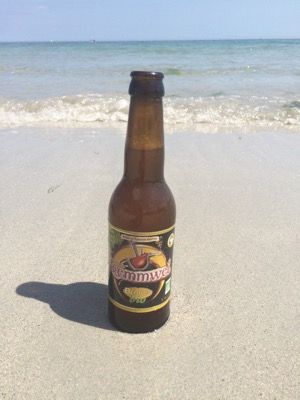 Dremmwel Blonde bio