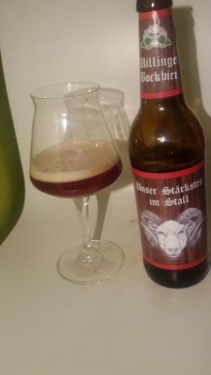 Willinger Bockbier Unser Stärkster im Stall