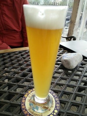 Bacchusbräu Rheingold