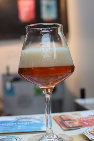 Hoppebräu Vogelwuid IPA - Polaris