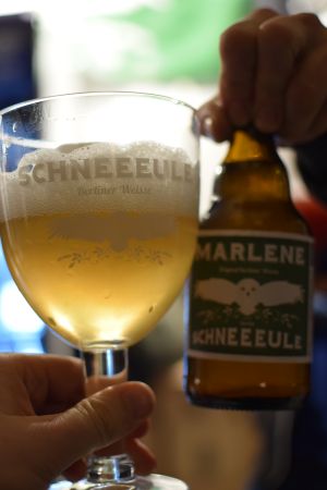 Schneeeule Marlene 9