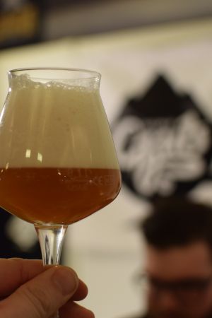 Gzub Brett Ale