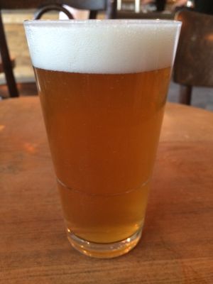 Lenny’s Eldorado Lager