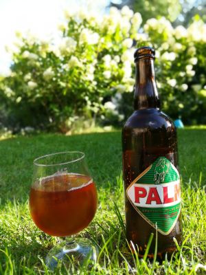 Palm Speciale Belge (Belgian Amber)