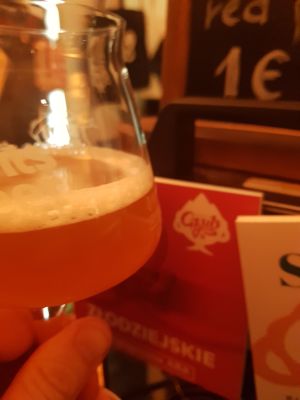 Gzub Zlodziejskie Rye APA