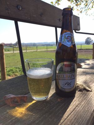 Maxlrainer Pils