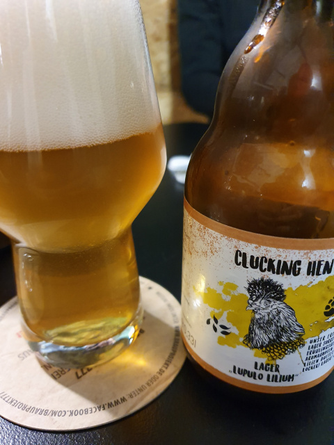 Clucking Hen Lupulo Lilium