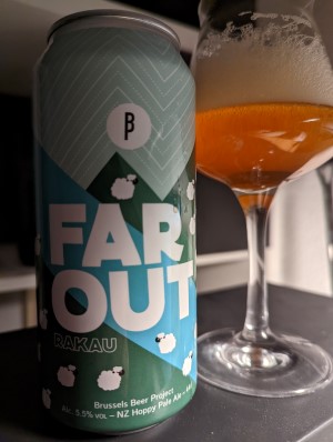 Brussels Beer Project FAR OUT