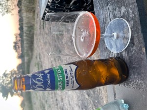 Kronenbourg French Style IPA
